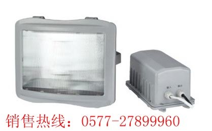 供应NSE9720防眩应急通路灯NSE9720（JP金品质）